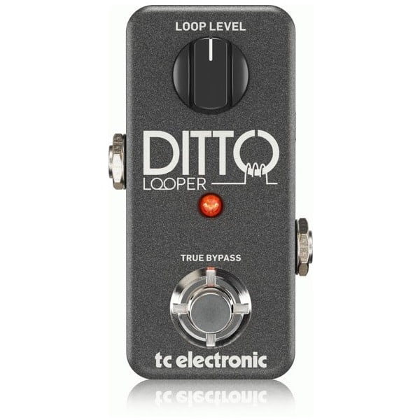 DITTOLOOPER 1