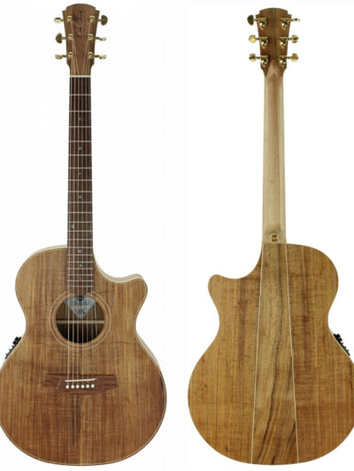 Cole Clark TL2EC Thinline Acoustic Guitar Blackwood